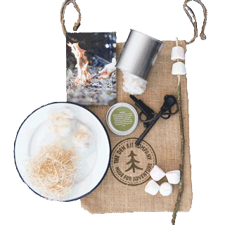 Fire on a Plate kit